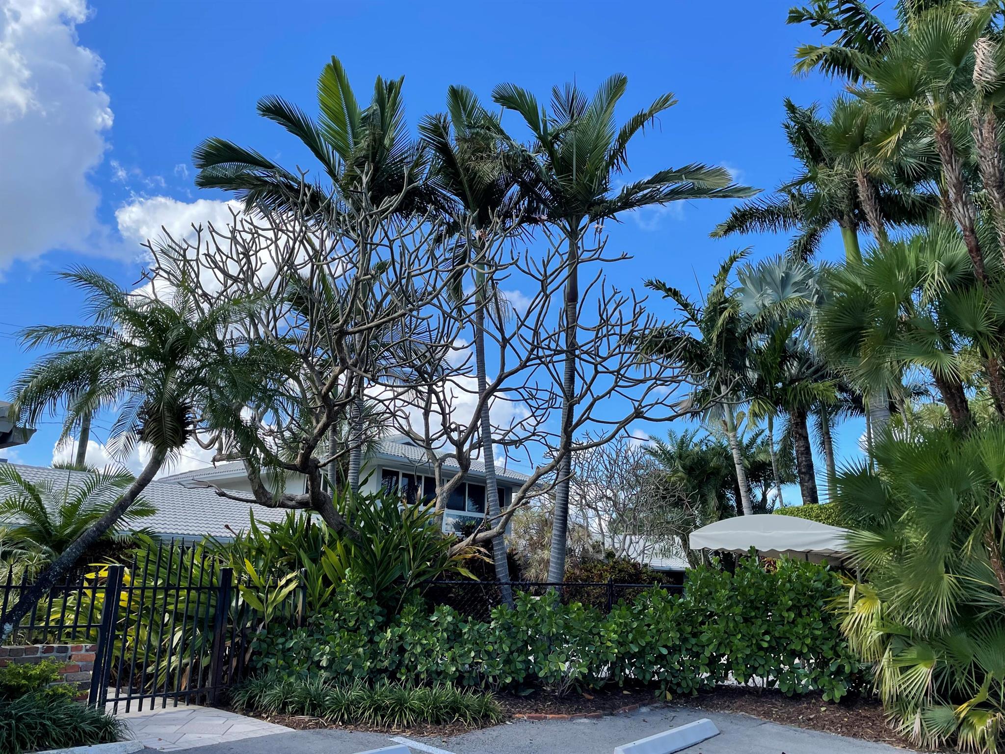 4009 NE 21 Avenue 1-13