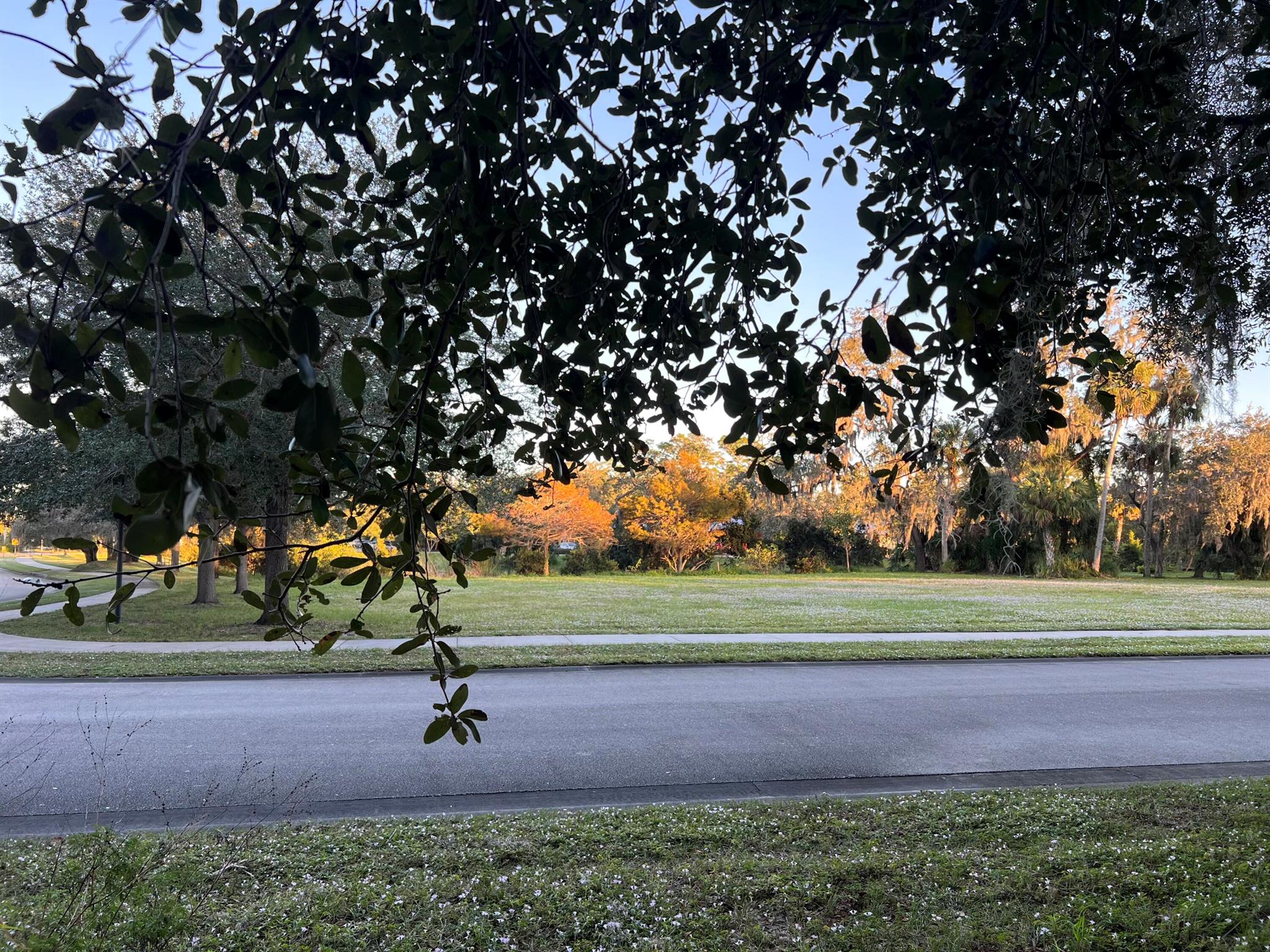 Village of Kashi - Land