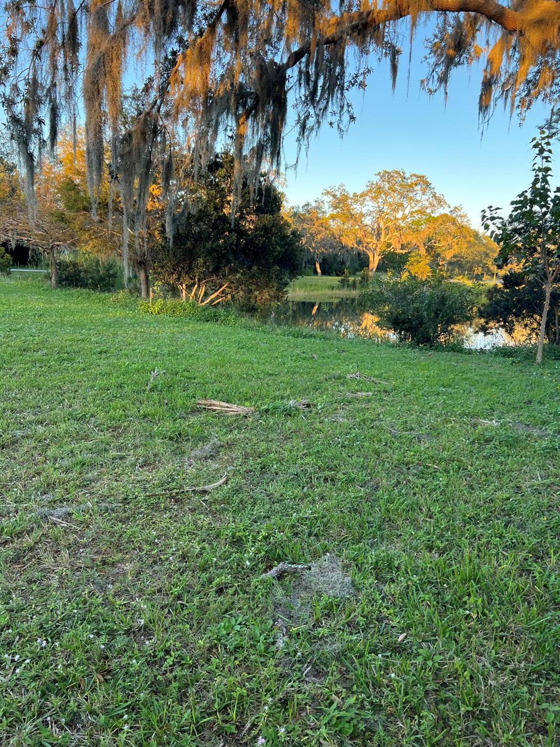 Village of Kashi - Land