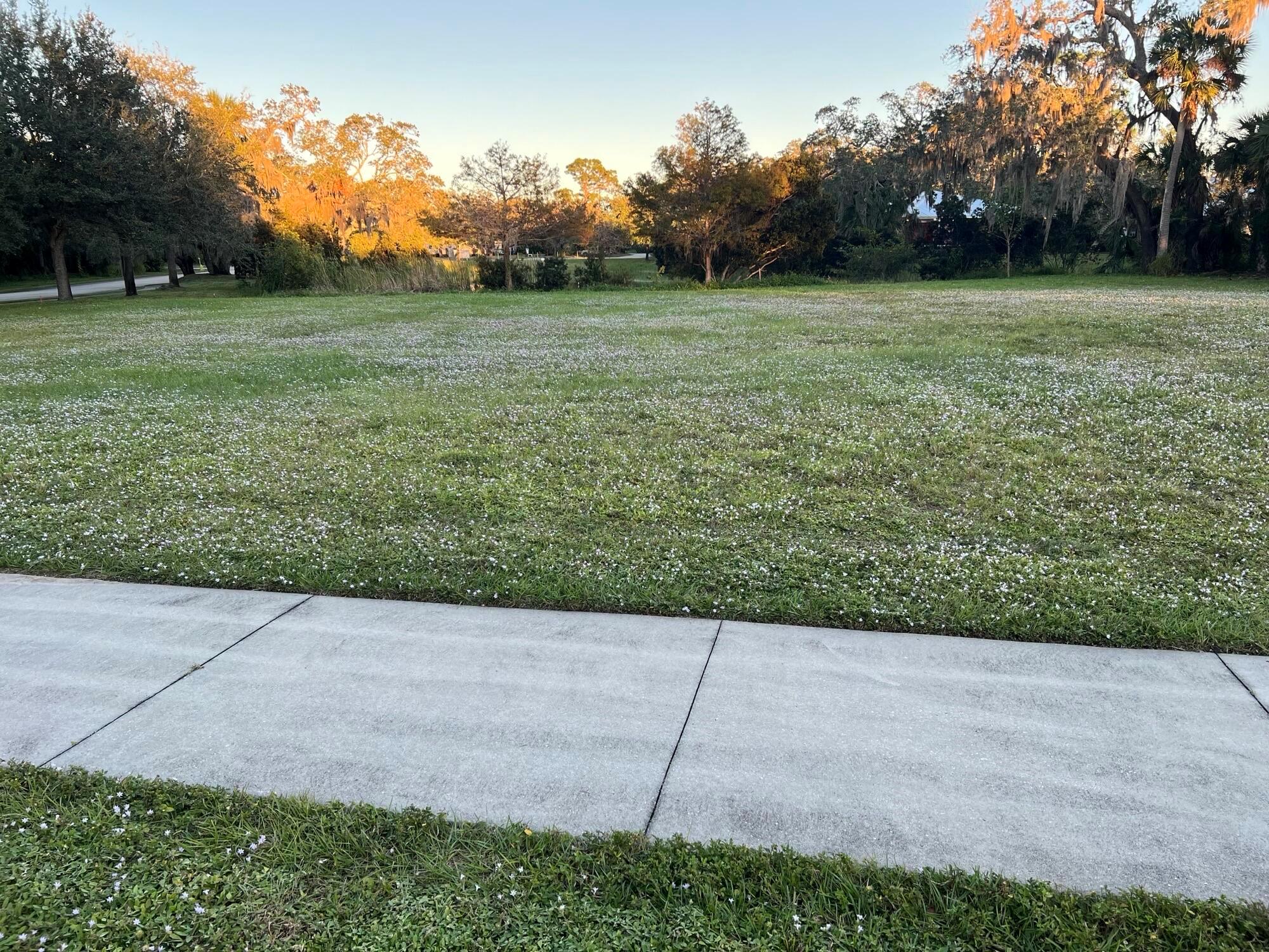 Village of Kashi - Land