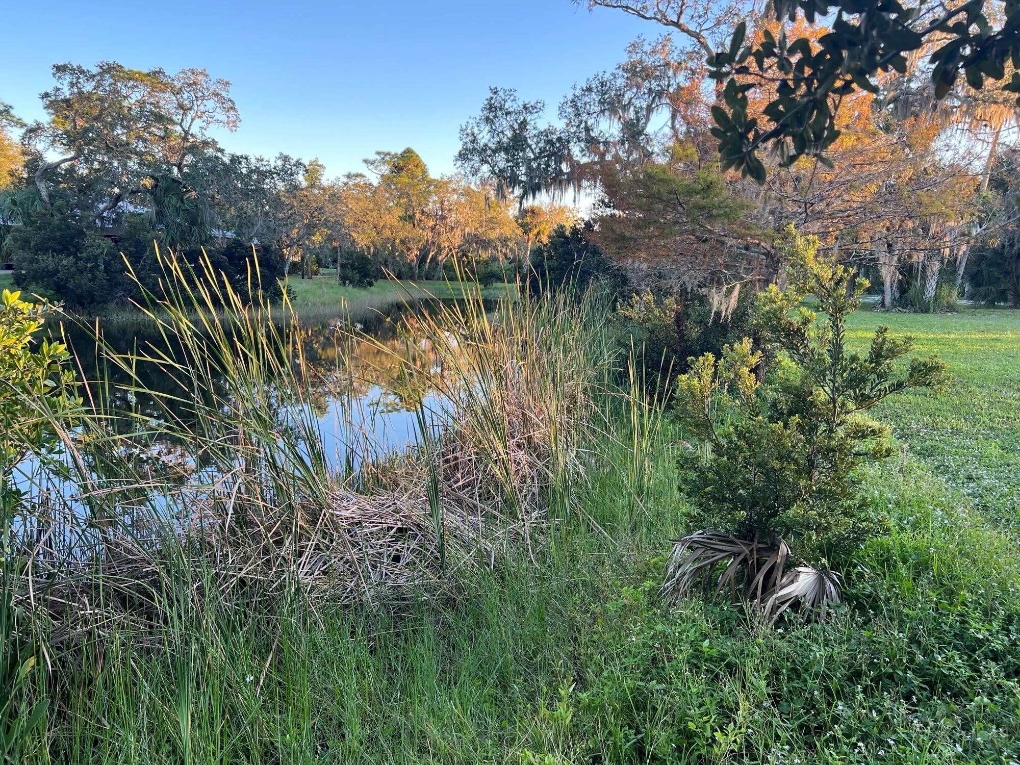 Village of Kashi - Land