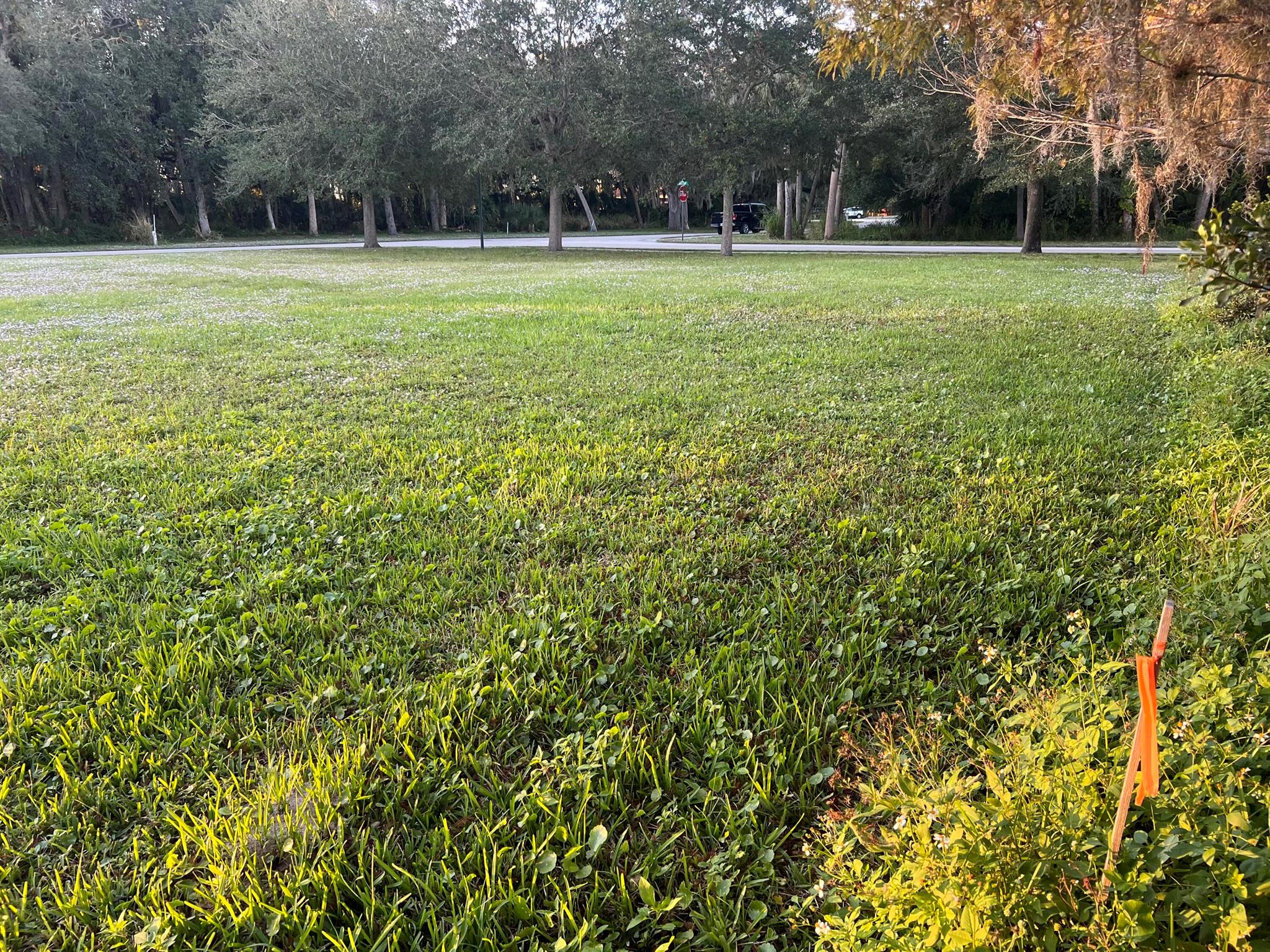 Village of Kashi - Land