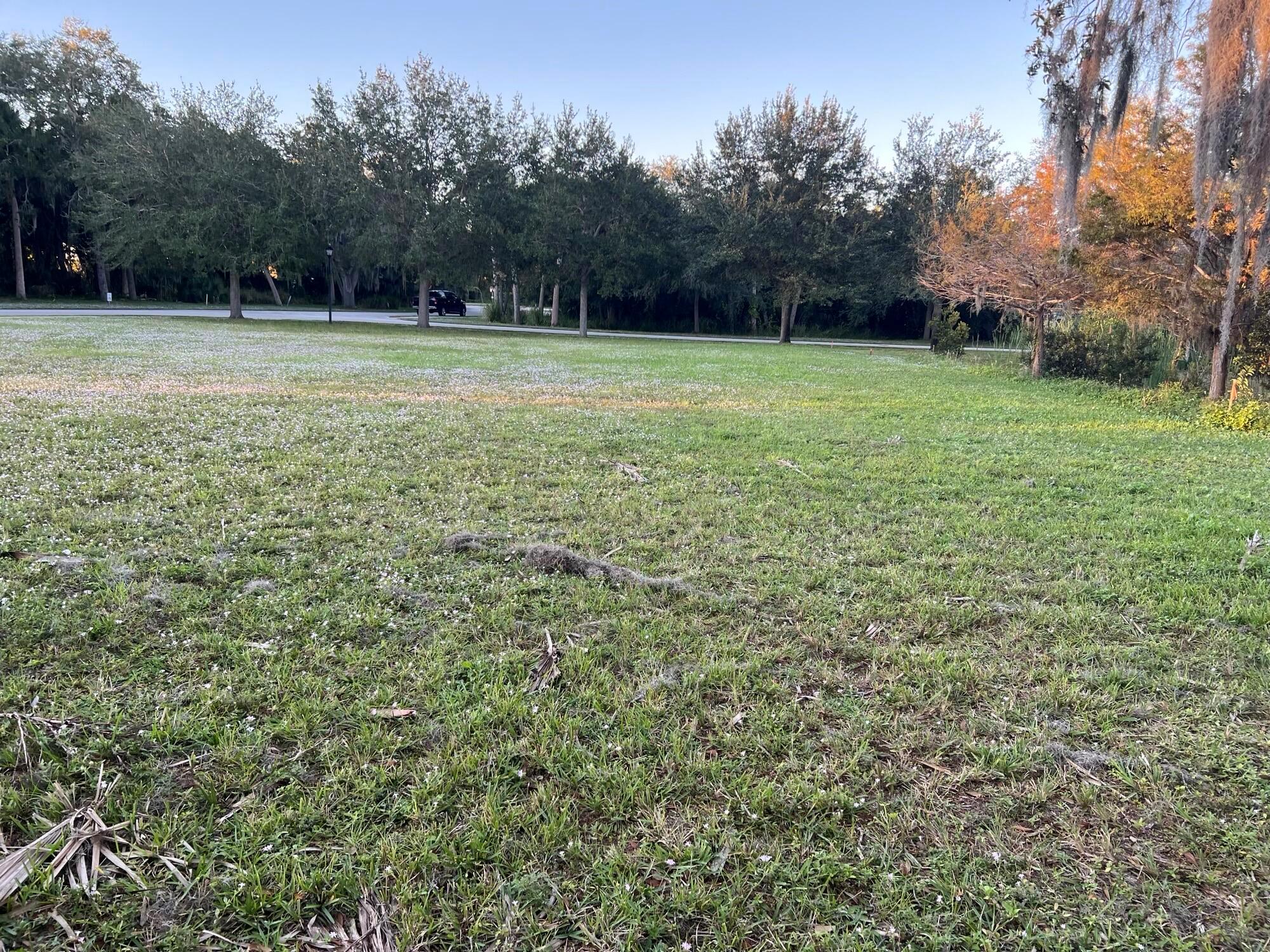 Village of Kashi - Land