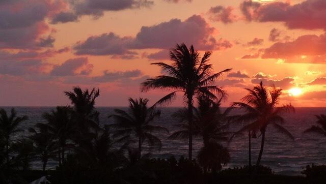 OCEAN TOWERS NORTH CONDO - Residential Lease