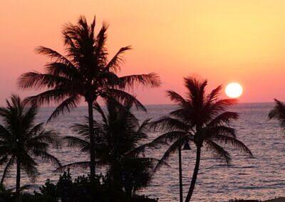 OCEAN TOWERS NORTH CONDO - Residential Lease