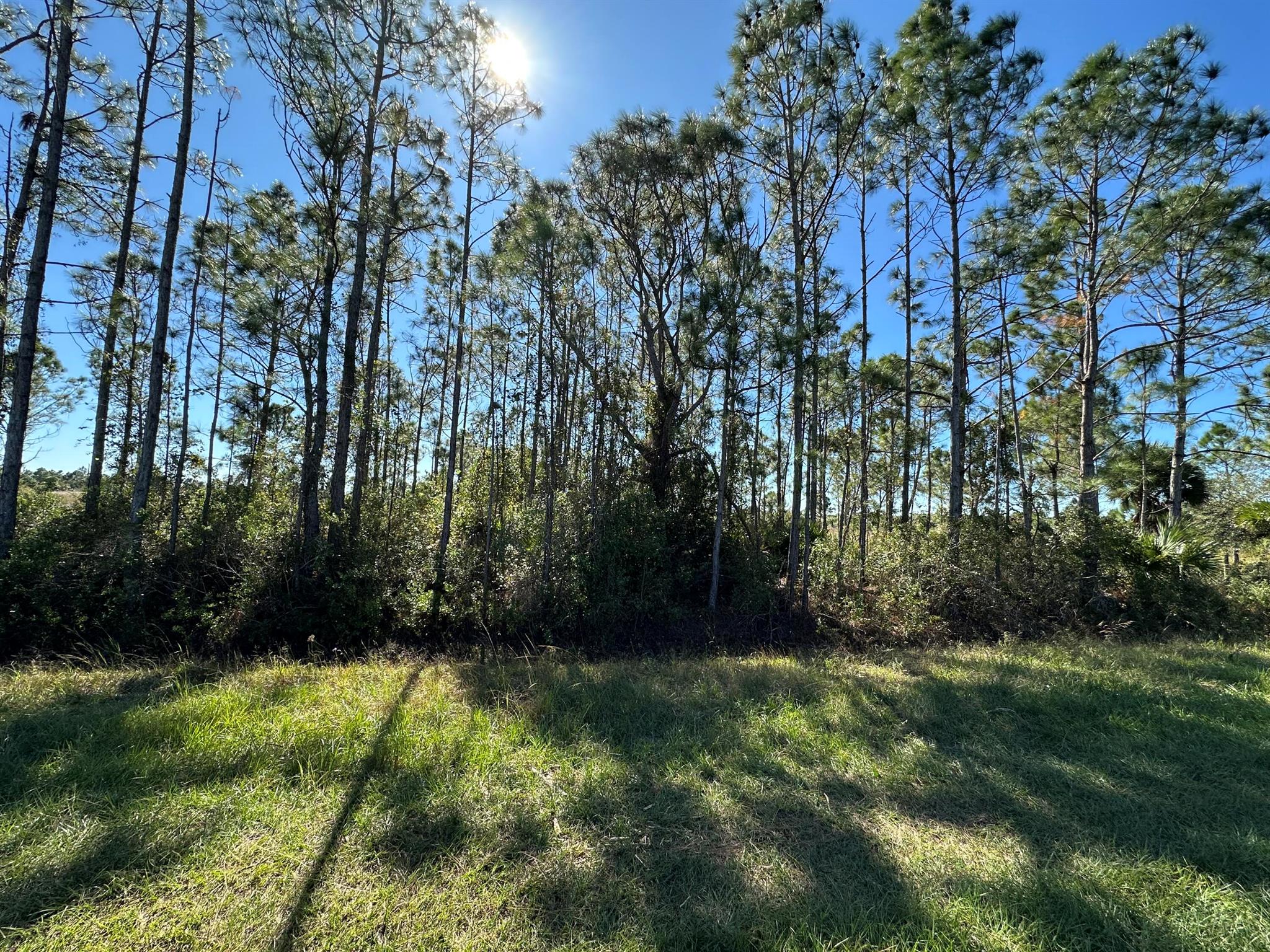 1,25 acre property in the Viking Estates. Easy access. Great homesite. Build your country home & barn here. NO HOA. Lots of beautiful trees on this high and dry large lot. Adjacent to the North of Viking Estates is the 54,000 acre Kissimmee Prairie State Park that has over 100 miles of trails for horse back riding, hiking, & bicyclists. Please call county to verify allowable land uses and zoning. Same ownership owns 3 other lots...call for maps of all 4 lots to see when you drive out to Viking Prairie Estates.