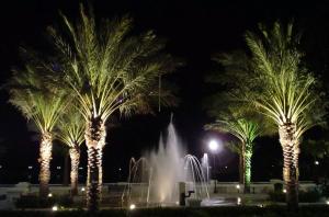 BEDFORD PARK AT TRADITION - Residential