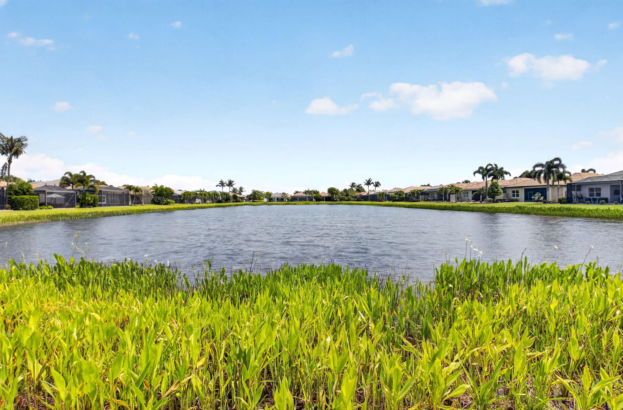 VALENCIA BAY - Residential