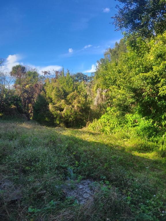 SHADOW LAWN NO 2 - Residential