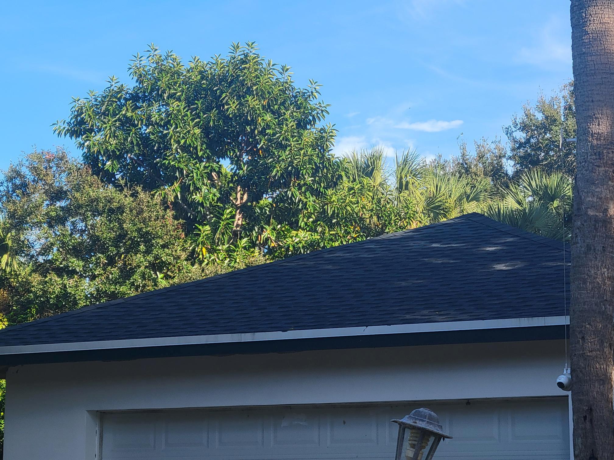 SHADOW LAWN NO 2 - Residential