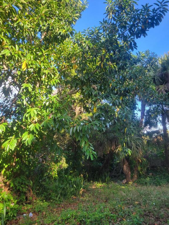 SHADOW LAWN NO 2 - Residential