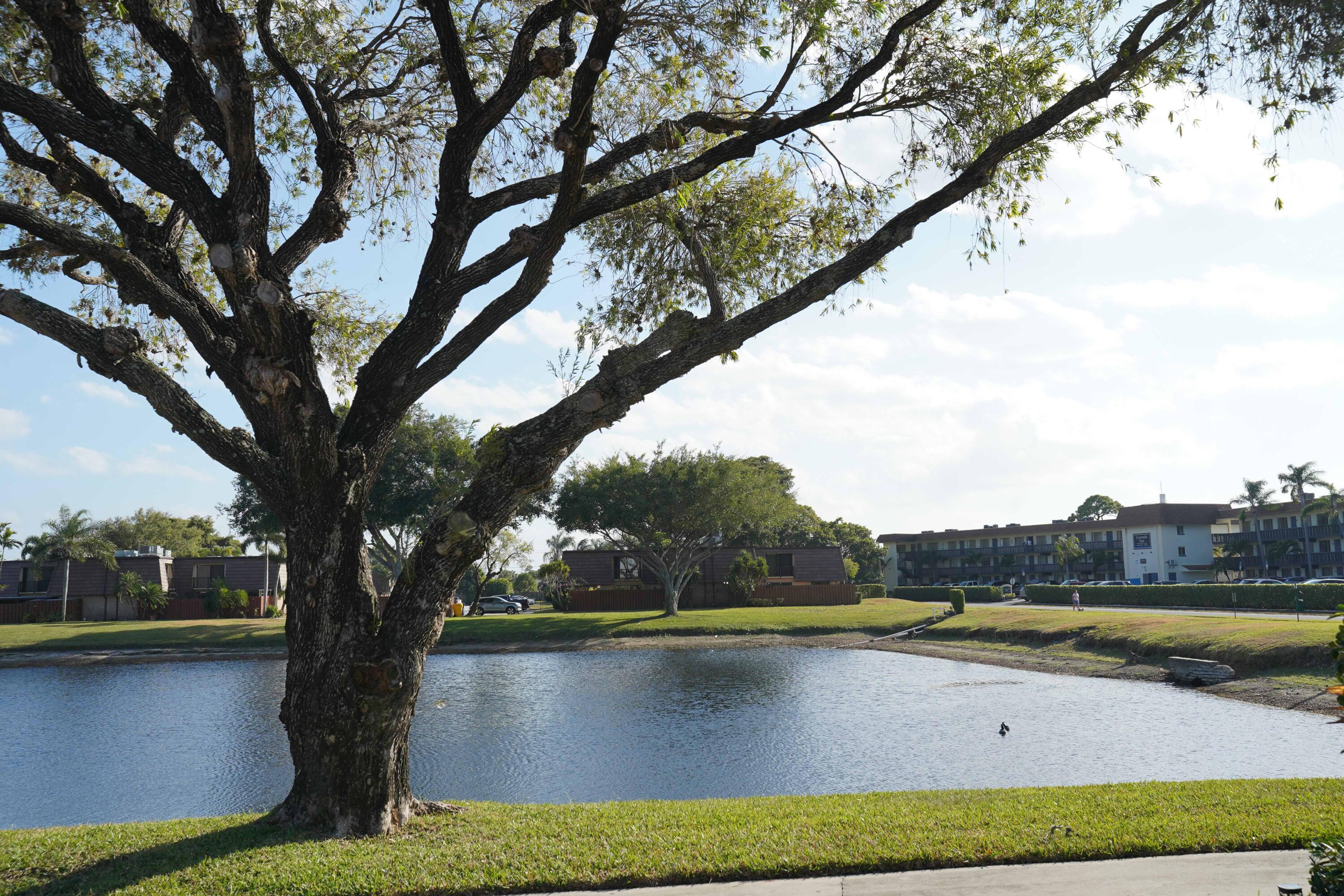 SPRINGDALE HOMES - Residential