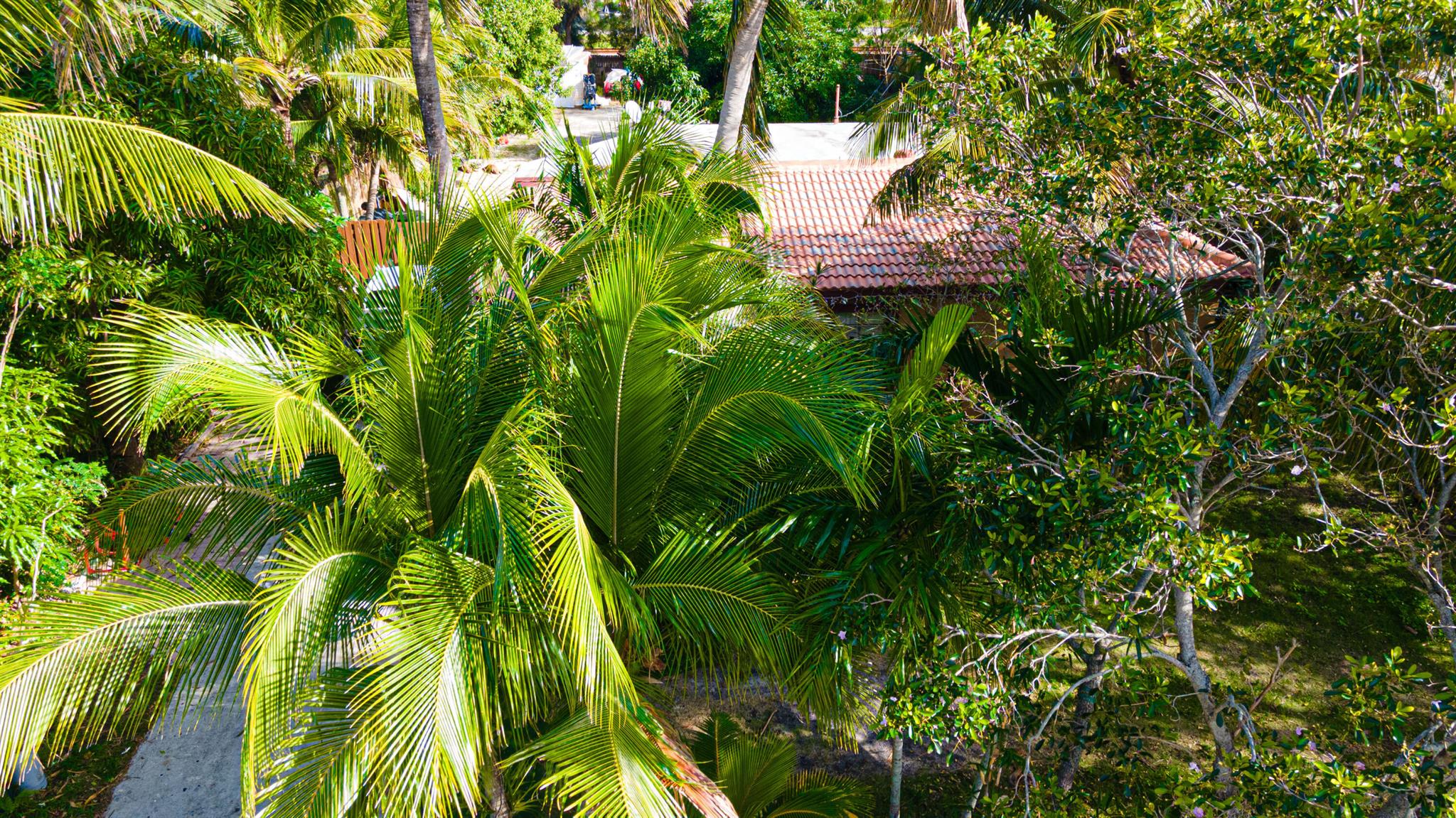 PLUMOSA PARK SEC A, B AND - Residential