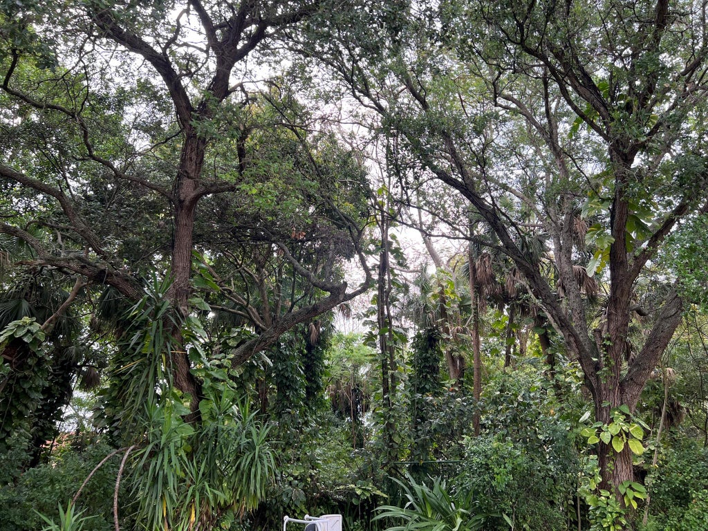 Photo of 11320 Palm Tree Lane, Palm Beach Gardens, FL 33410 (MLS # R10881722)