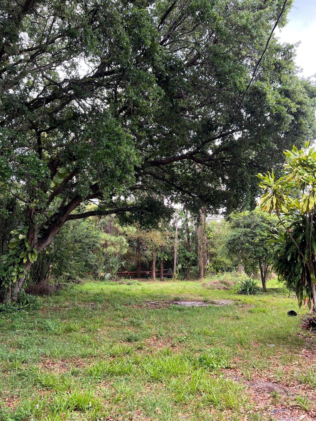 Photo of 11320 Palm Tree Lane, Palm Beach Gardens, FL 33410 (MLS # R10881722)