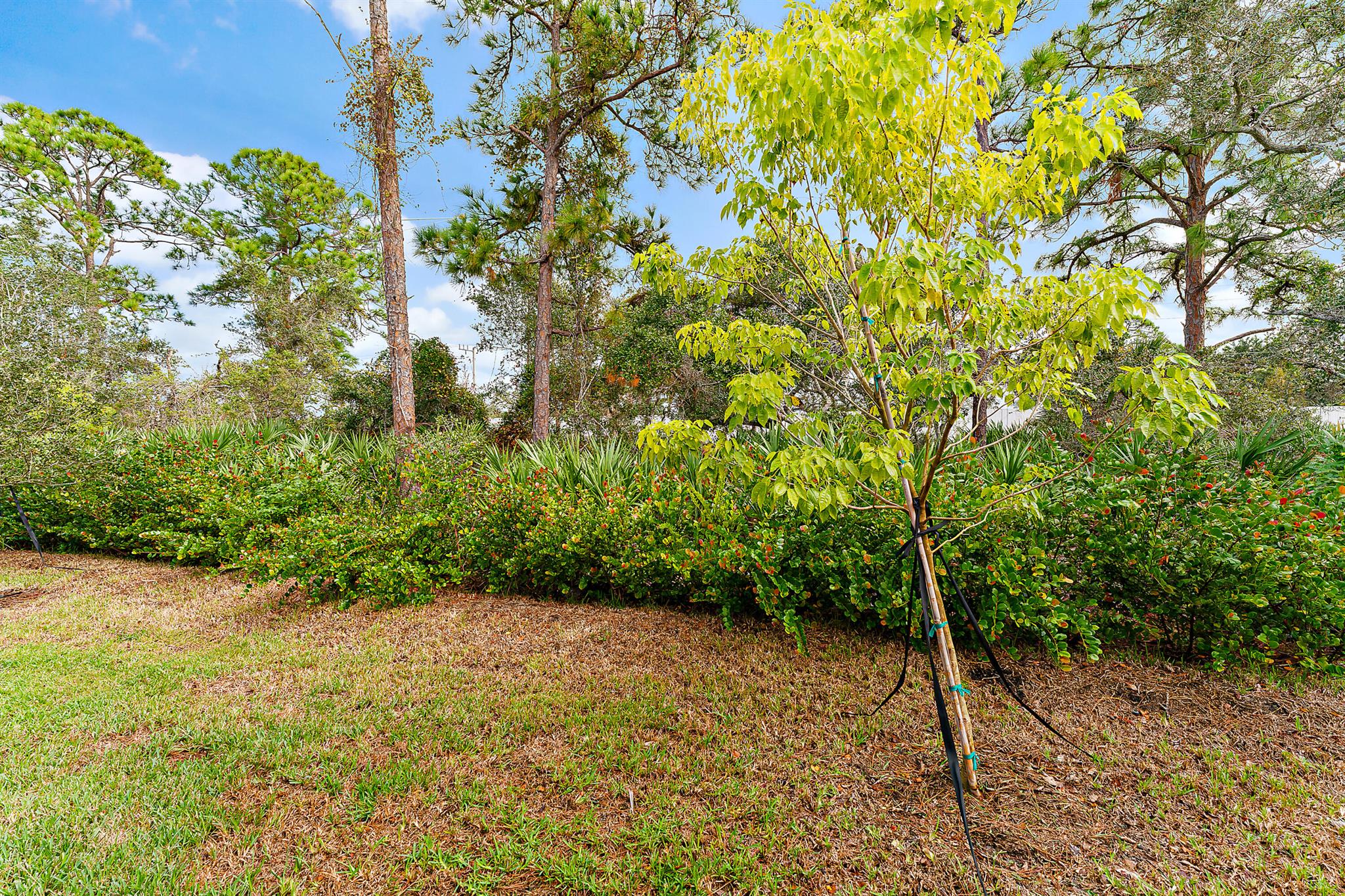 BANYAN BAY PUD PHASE 2C - Residential