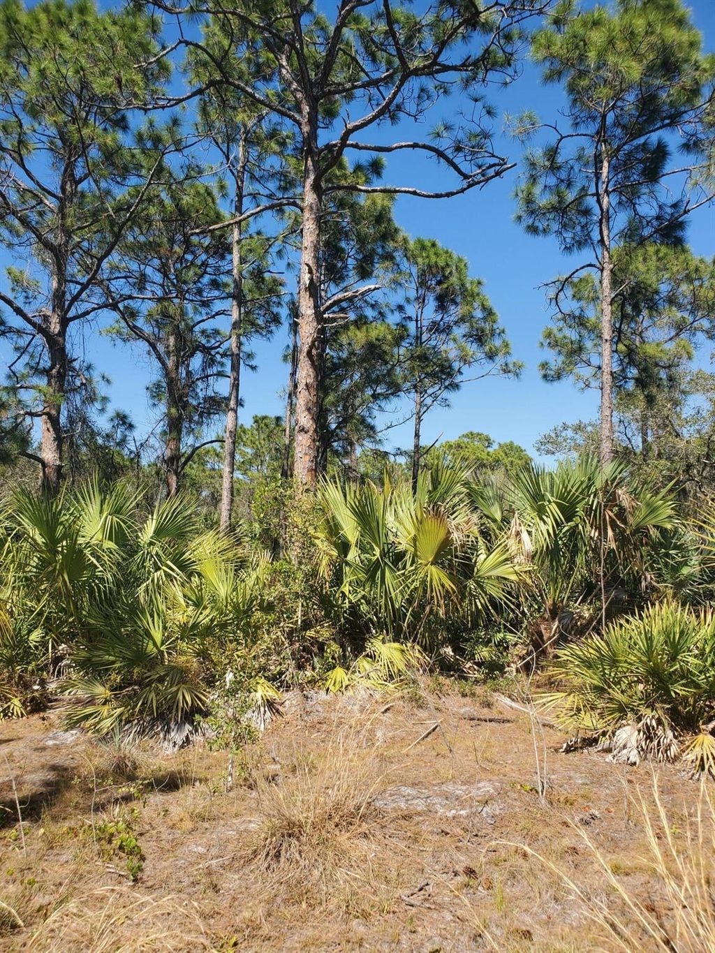 Photo of Unassigned Unassigned, Indiantown, FL 34956 (MLS # R10874746)