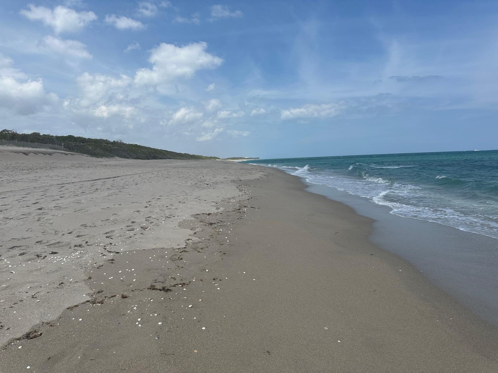 CONNEMARA - Residential Lease