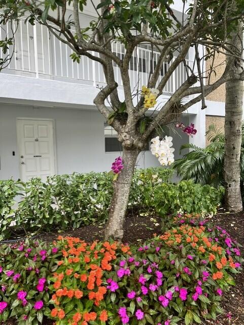NO 38 PALM-AIRE COUNTRY CLUB 4 - Residential