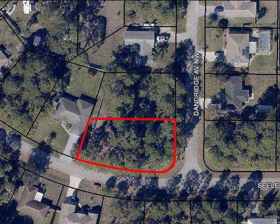 Beautiful Lot Close to Road in Palm Bay. Great location to build your future dream home or Investment. Minutes away from great schools, restaurants, shopping, and fun centers.