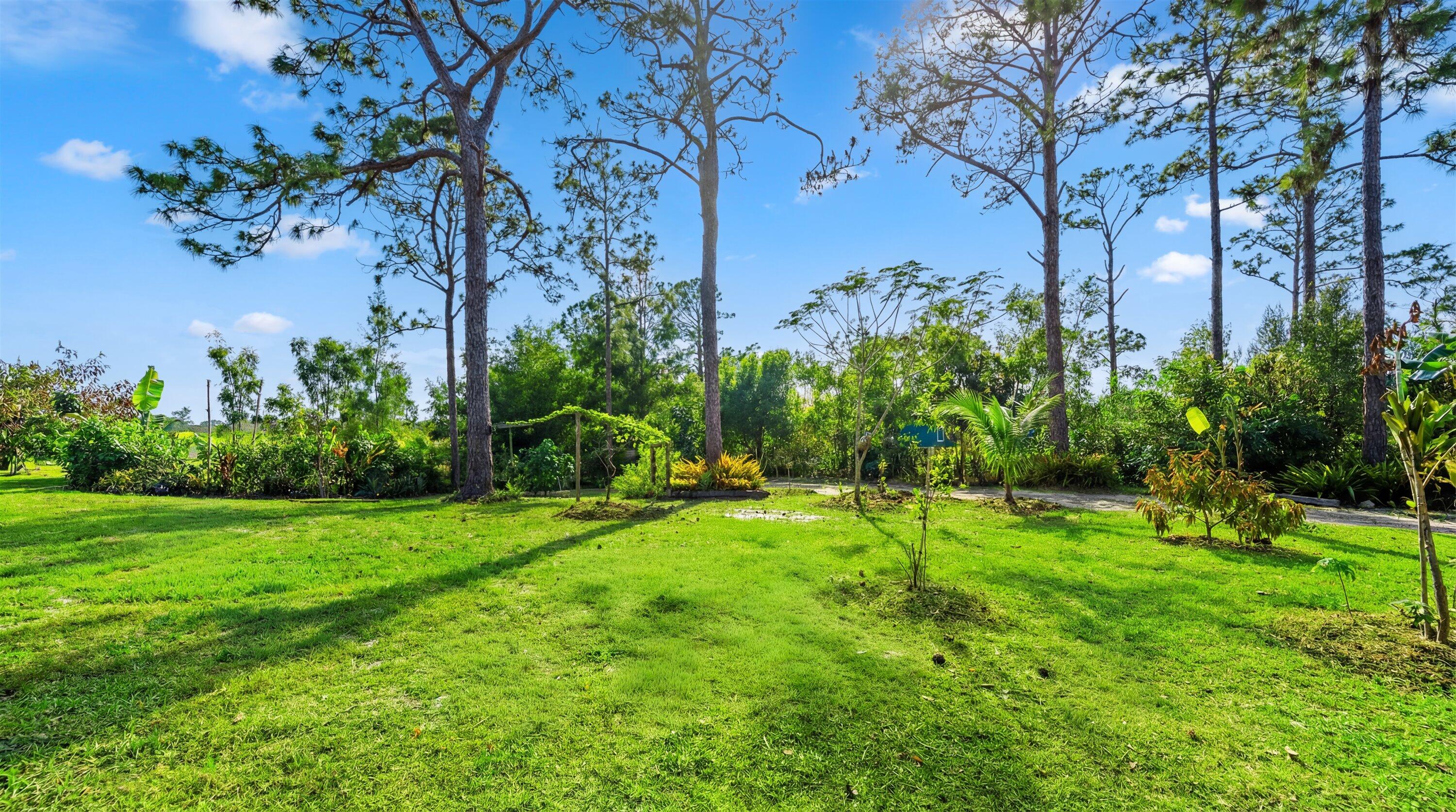 ACREAGE/LOXAHATCHEE - Residential
