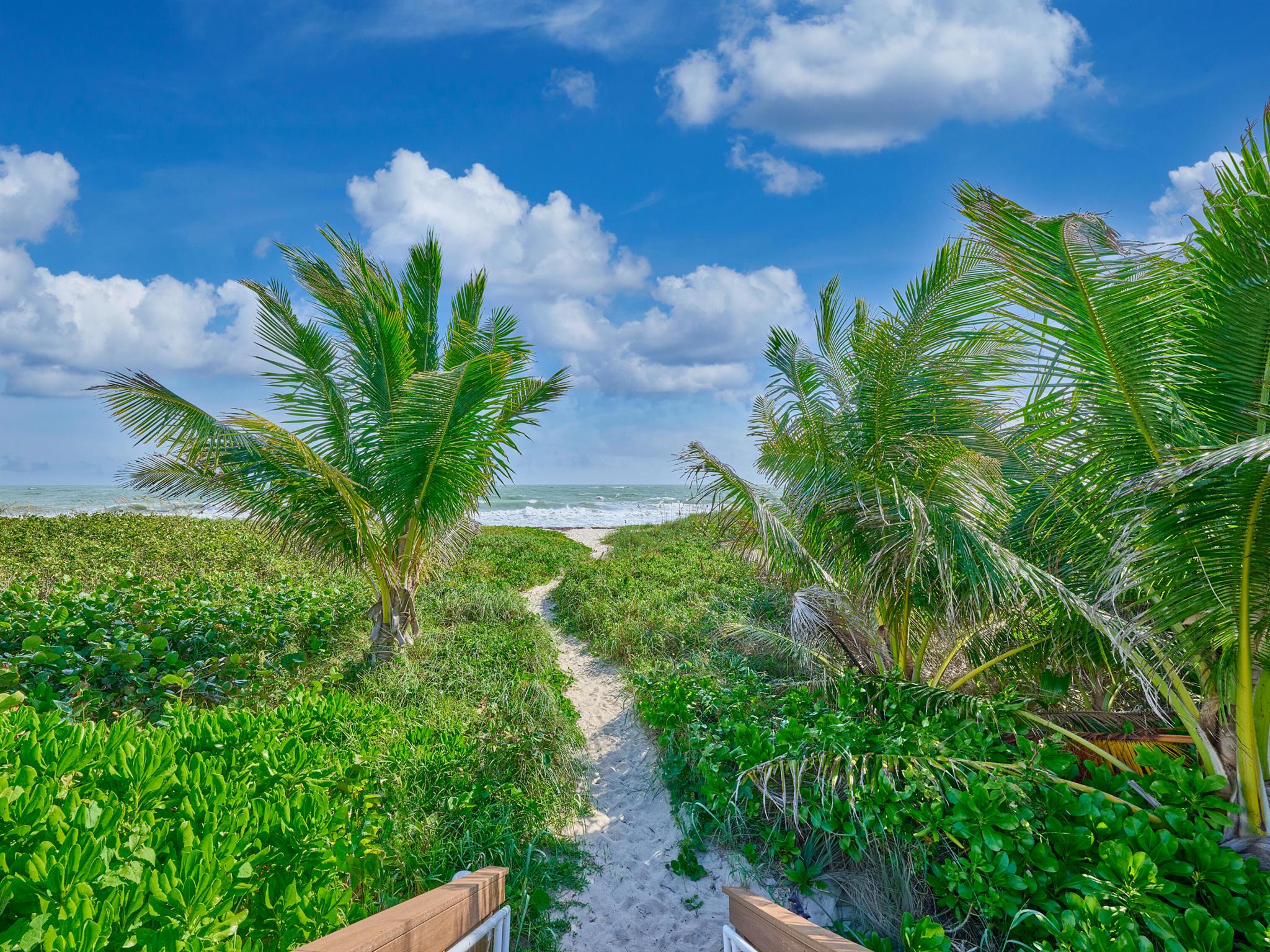 SEAWARD AT ATLANTIC VIEW, - Residential Lease