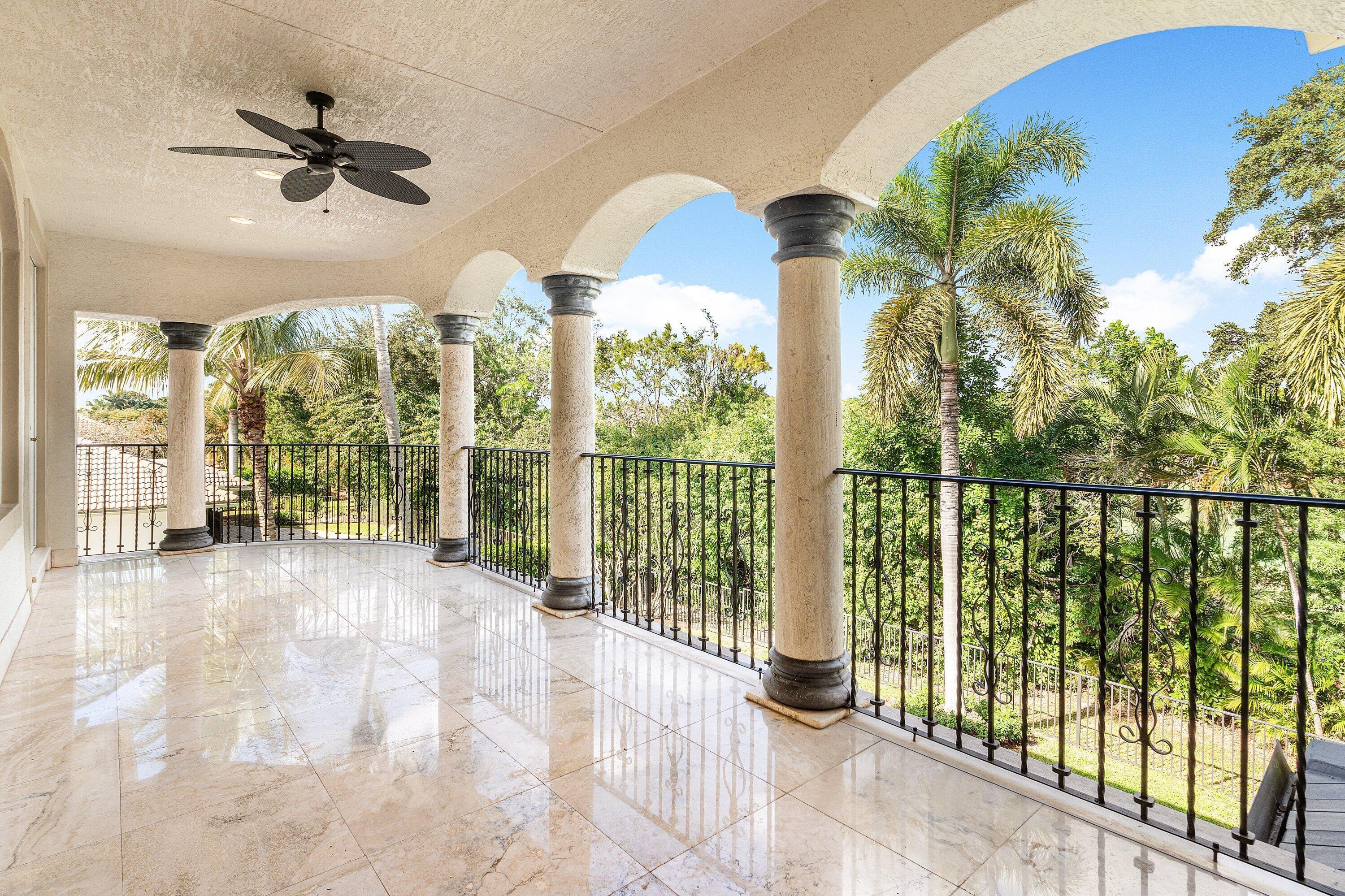 Pine Tree - Residential