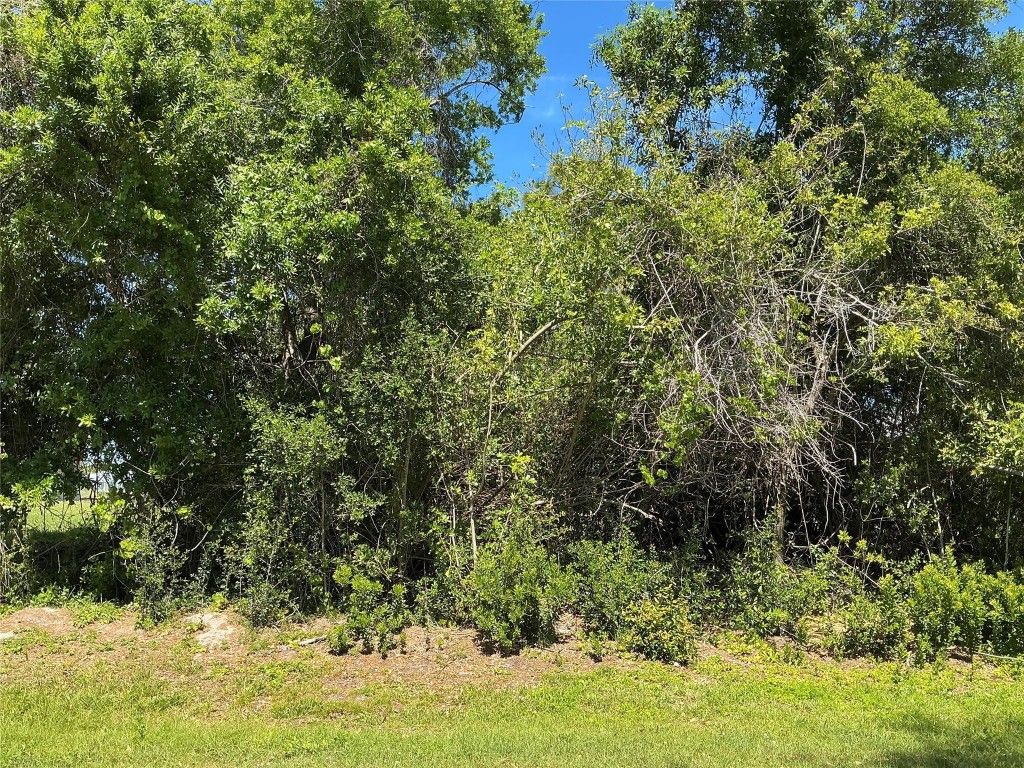 Photo of 852 Salem Avenue, Sebastian, FL 32958 (MLS # F10500181)