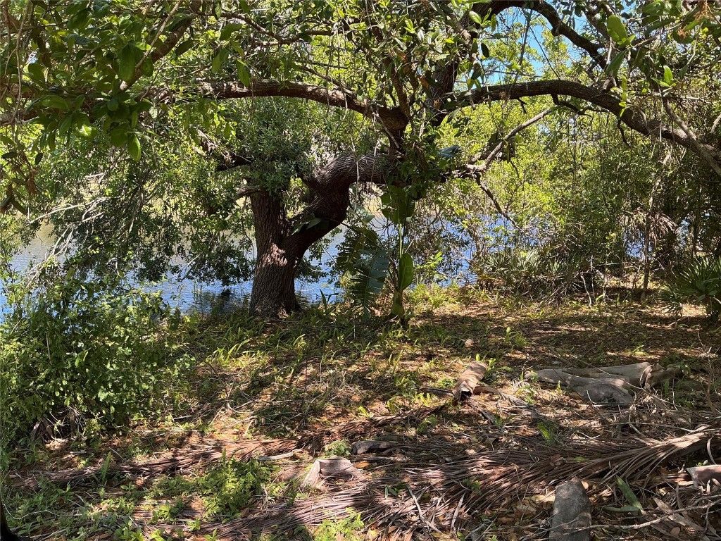 Photo of 852 Salem Avenue, Sebastian, FL 32958 (MLS # F10500181)