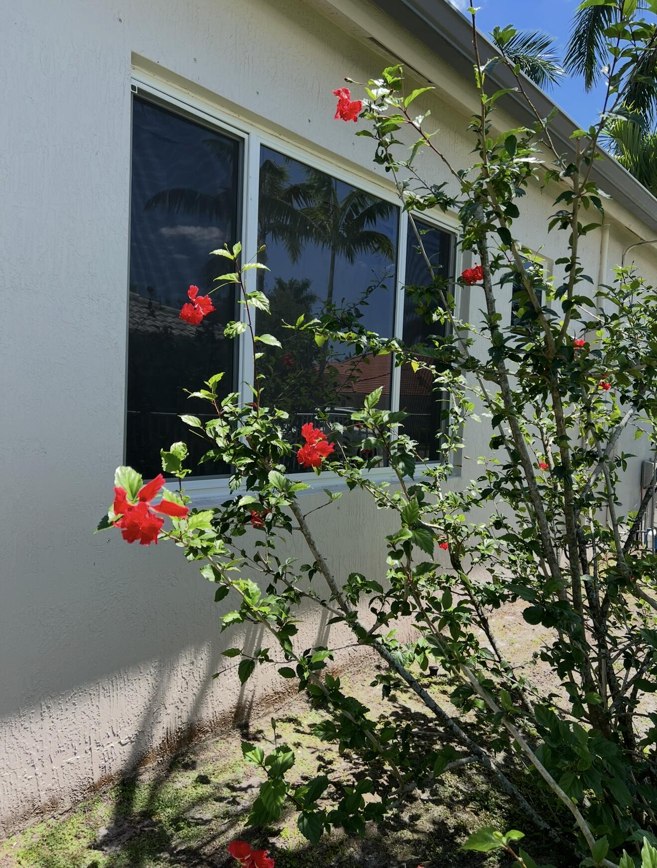 ROLLING HILLS GOLF ESTATES - Residential