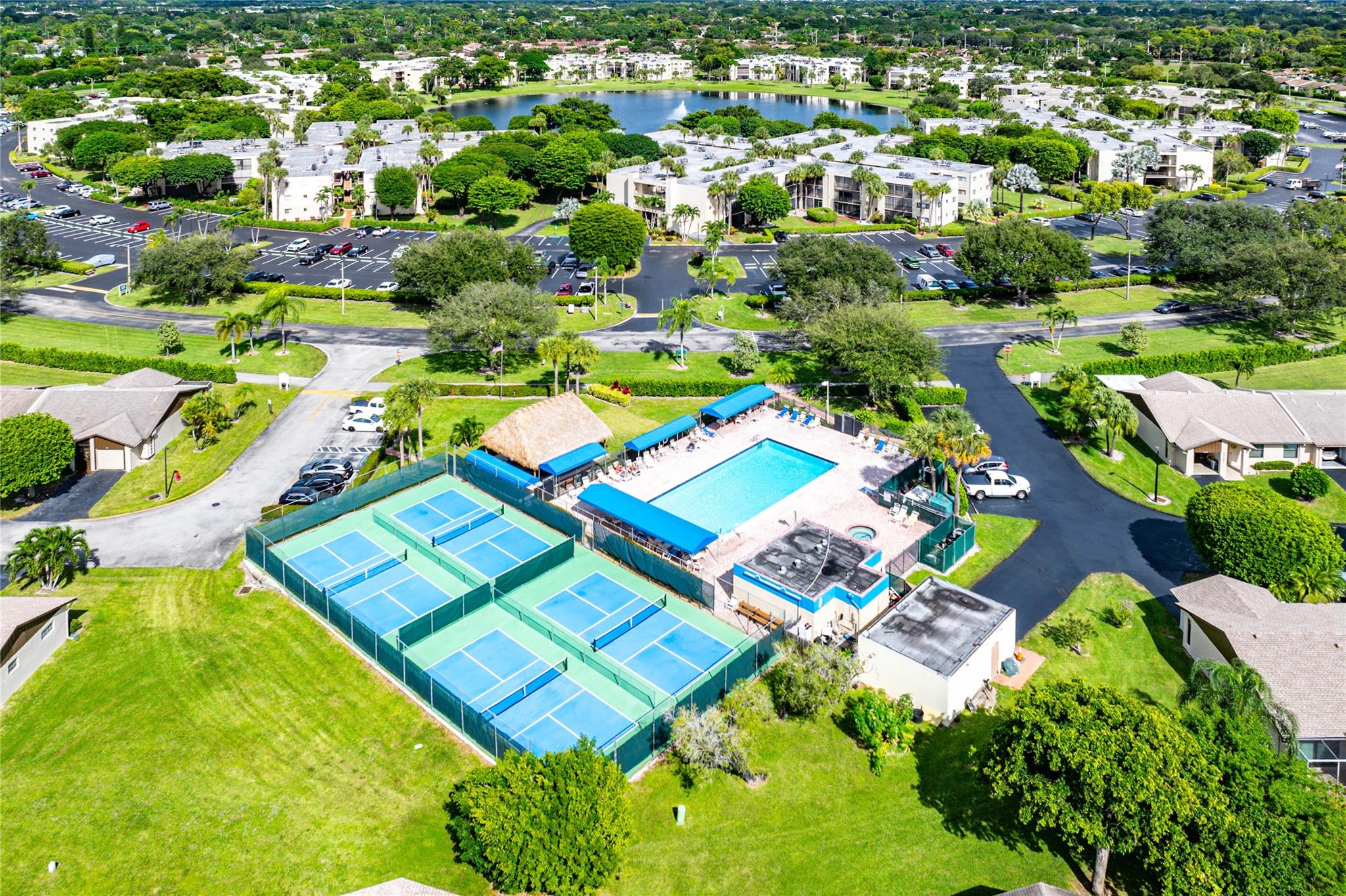 Coconut Palm - Residential