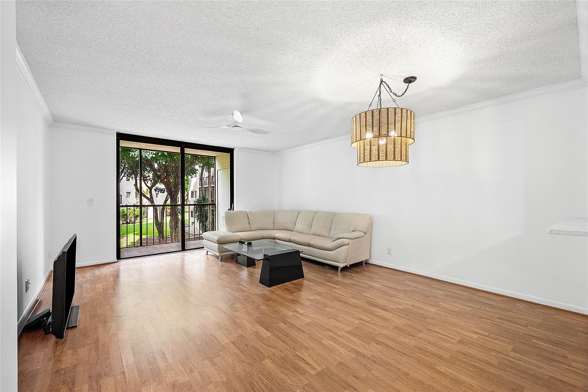 Coconut Palm - Residential