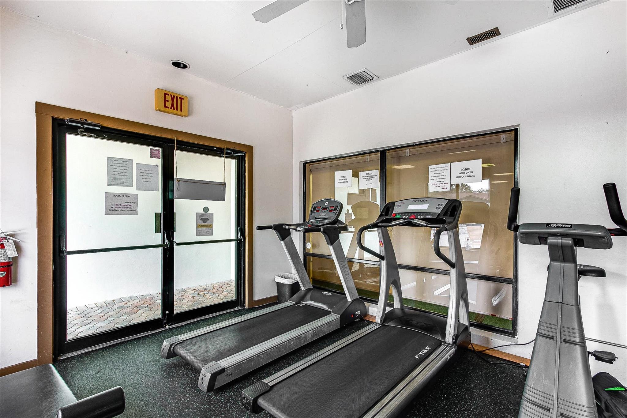 Coconut Palm - Residential