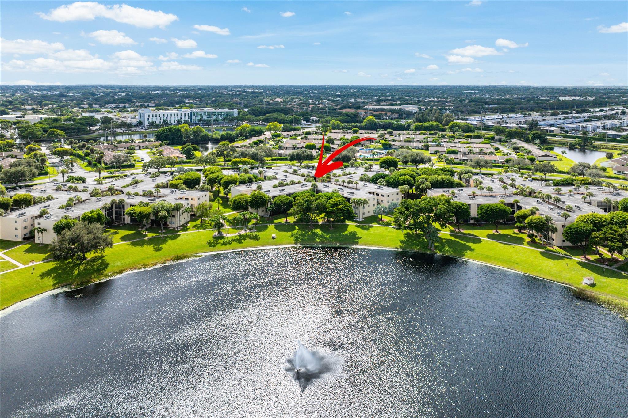 Coconut Palm - Residential