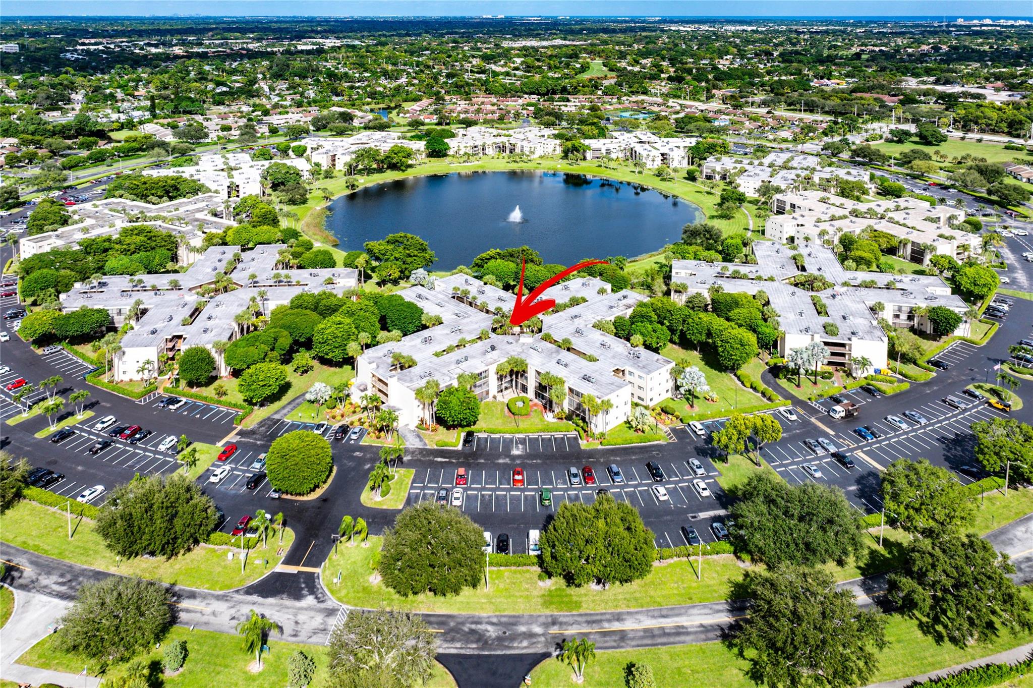 Coconut Palm - Residential