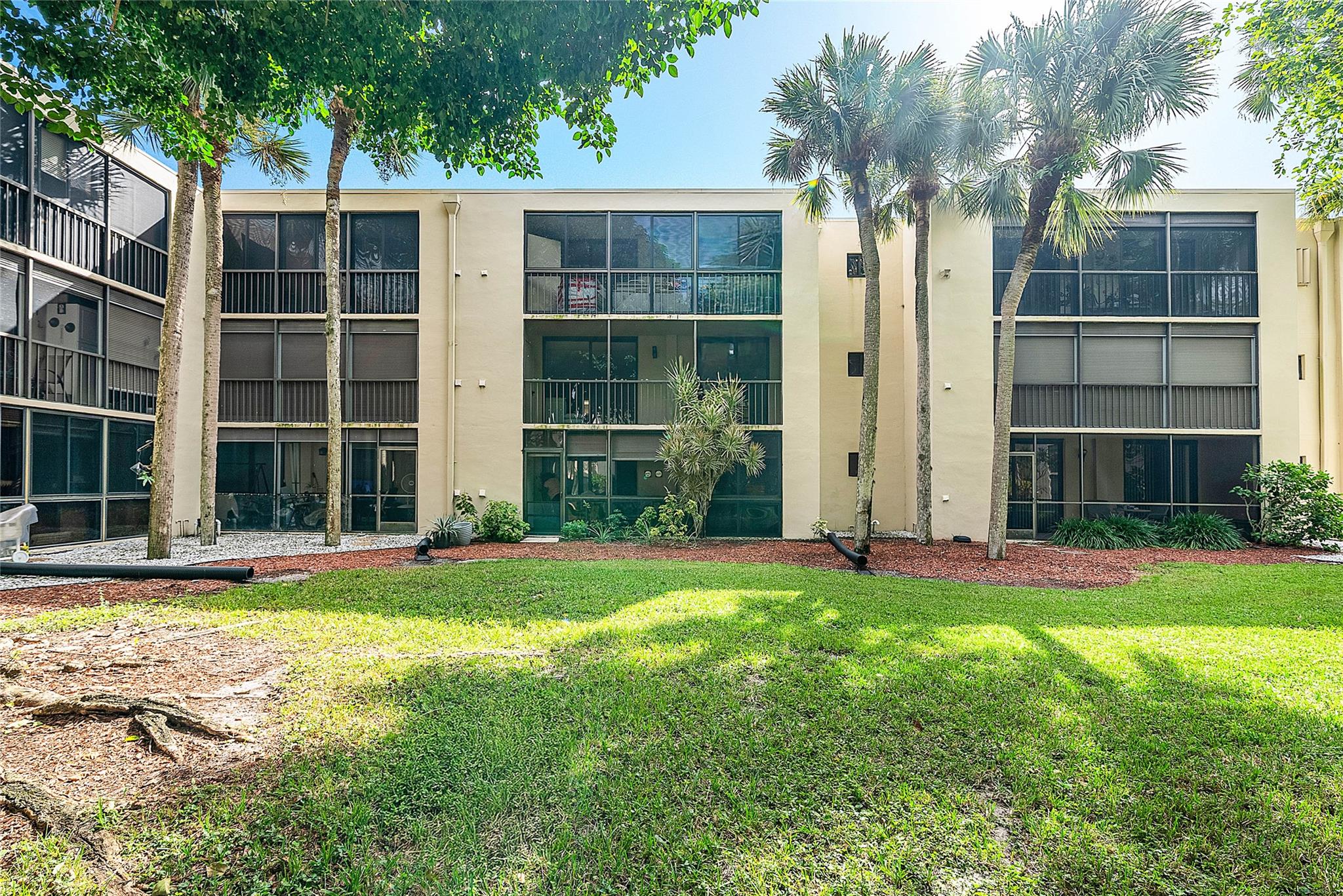 Coconut Palm - Residential