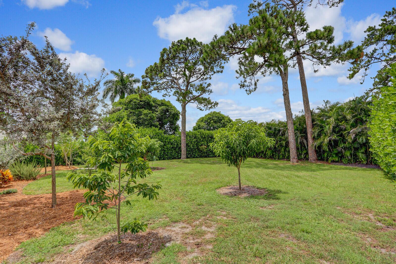 JUPITER VLG - Residential