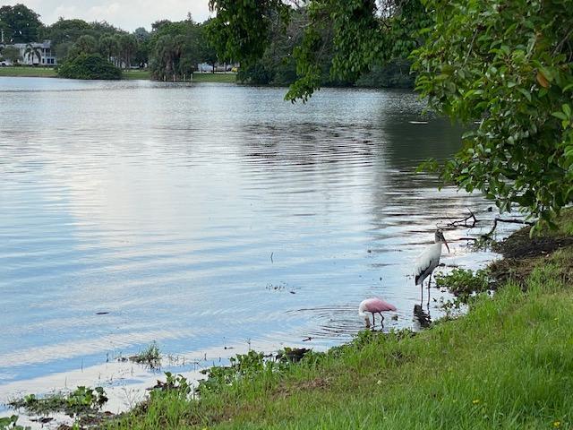 MURRY HILLS APT BLDG COND - Residential Lease