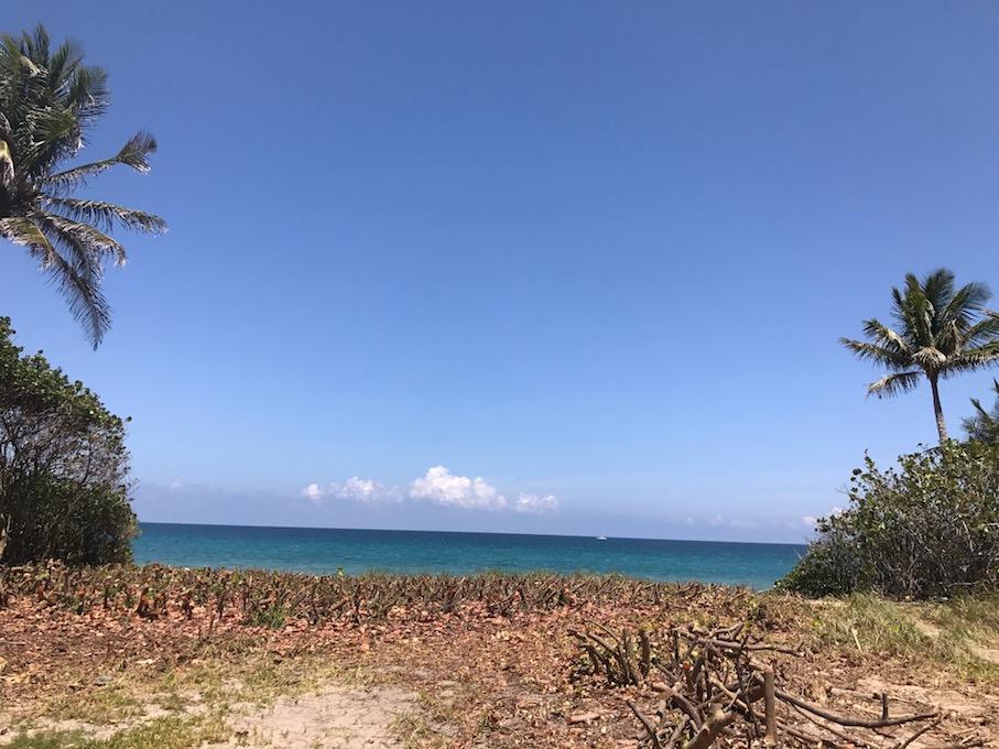 GULF STREAM OCEAN TRS & GULF STREAM OCEAN TRS REPL - Land