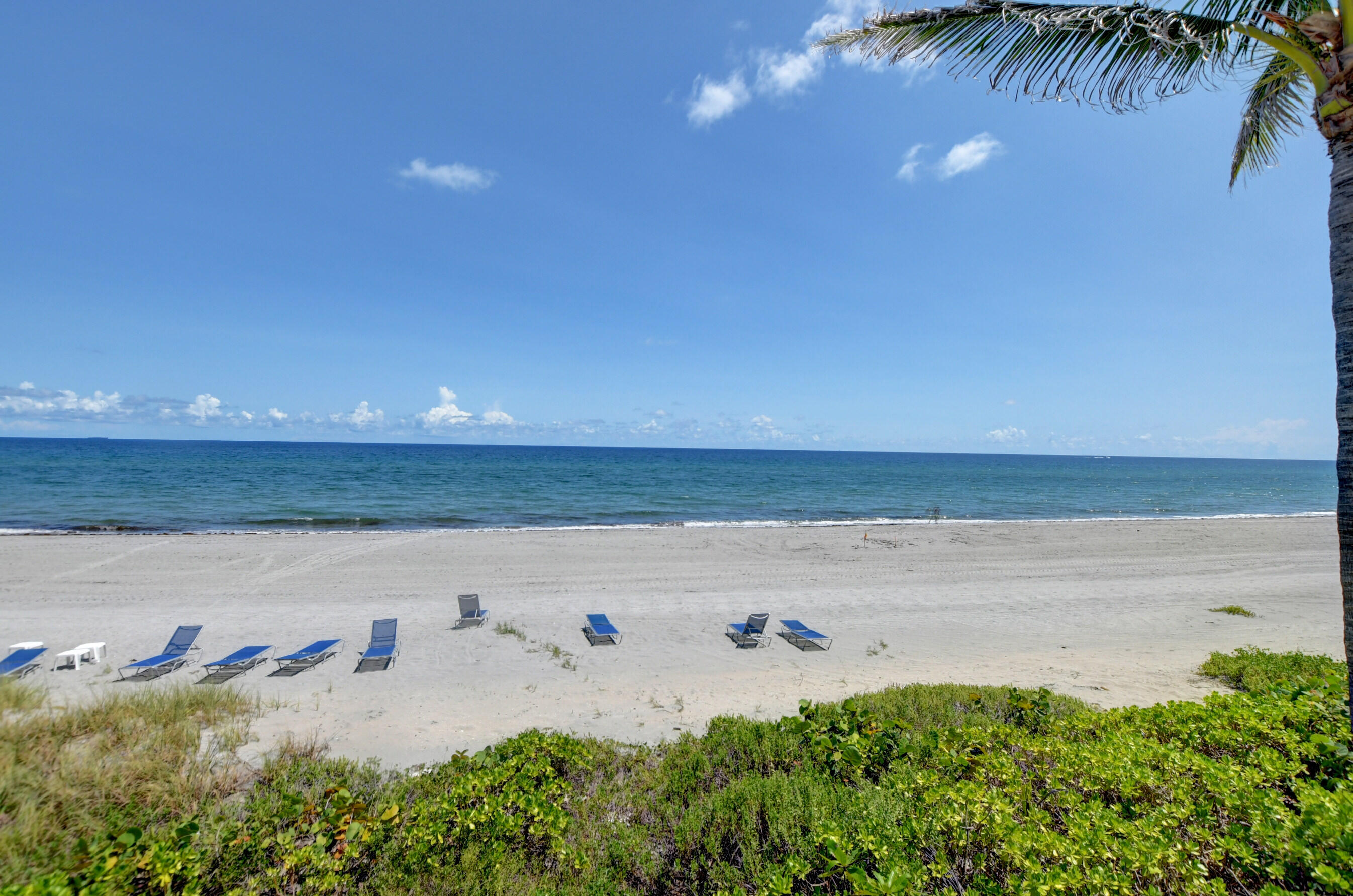 OCEAN REEF TOWERS INC CONDO - Residential Lease