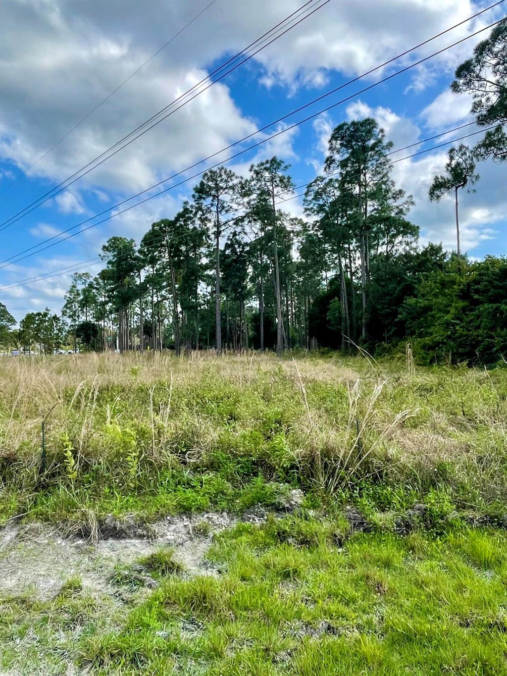 Photo of 14045 Orange Boulevard, The Acreage, FL 33470 (MLS # R10974501)