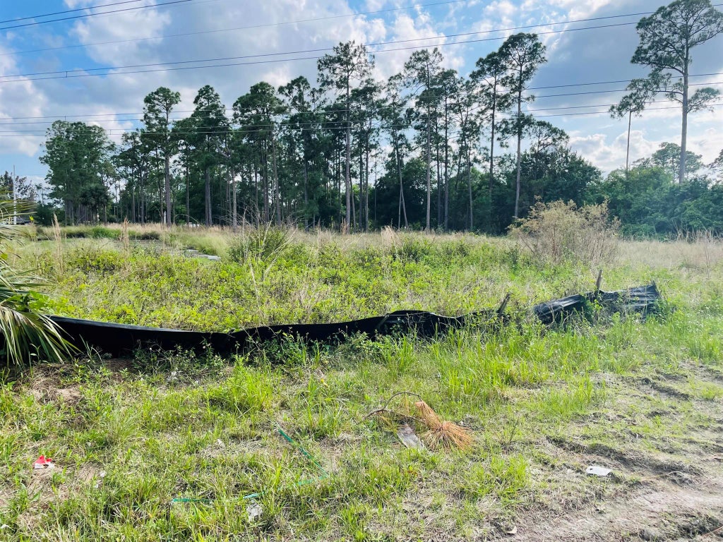 Photo of 14045 Orange Boulevard, The Acreage, FL 33470 (MLS # R10974501)
