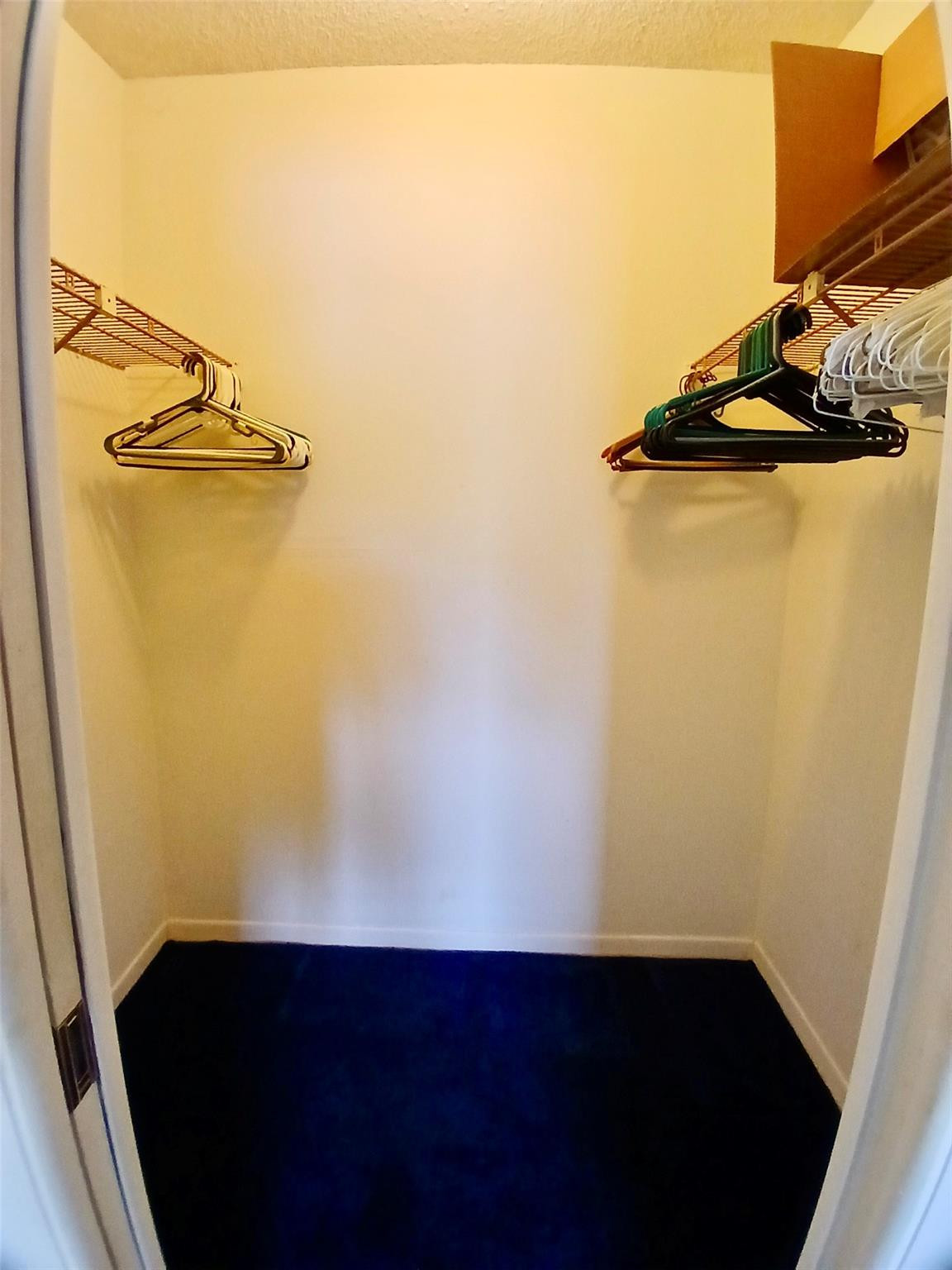 SABAL PALM VILLAGE CONDO - Residential