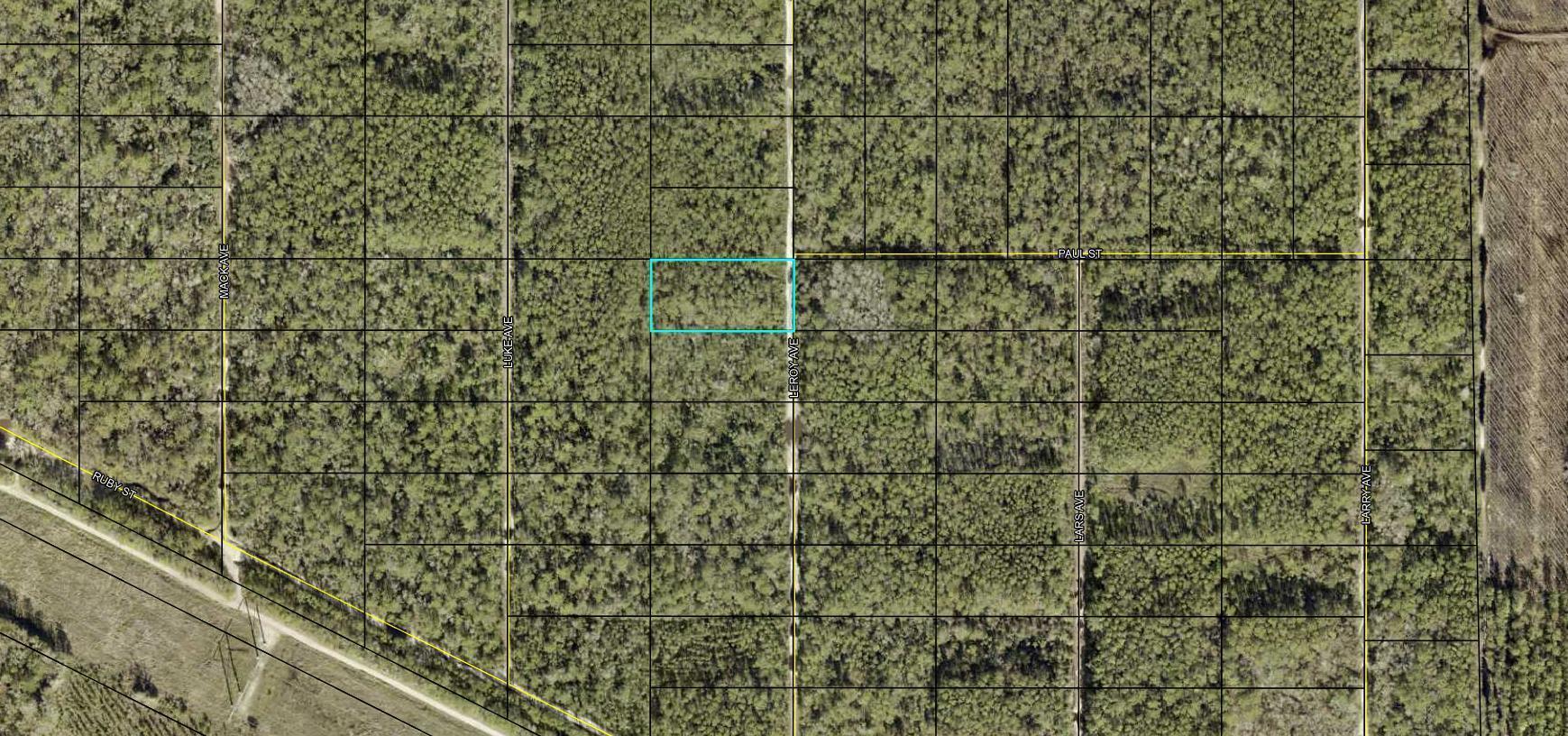 Beautiful wooded 1.14 acre lot in Flagler Estates. Possibility to purchase neighboring lot #1091 to make a total of over 2 acres. Located on a quiet street with No immediate neighbors. Convenient to Palatka, Palm Coast, St. Augustine, The ST. JOHNS RIVER, camping, FISHING, & only about 20 minutes from Crescent BEACH. NO HOA means you can keep your RV, boat, ATV, or work truck at home. Located in zone X