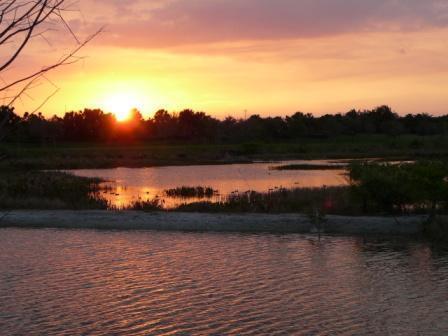 VILLAGEWALK OF WELLINGTON 4 - Residential Lease