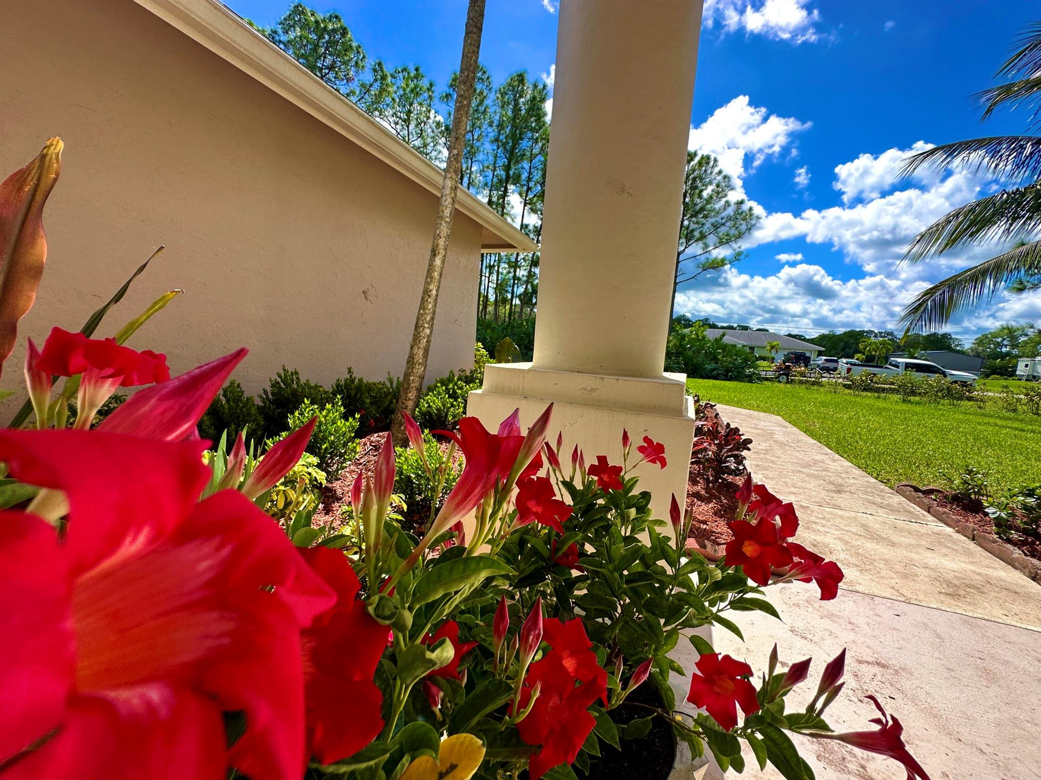 west palm beach - Residential