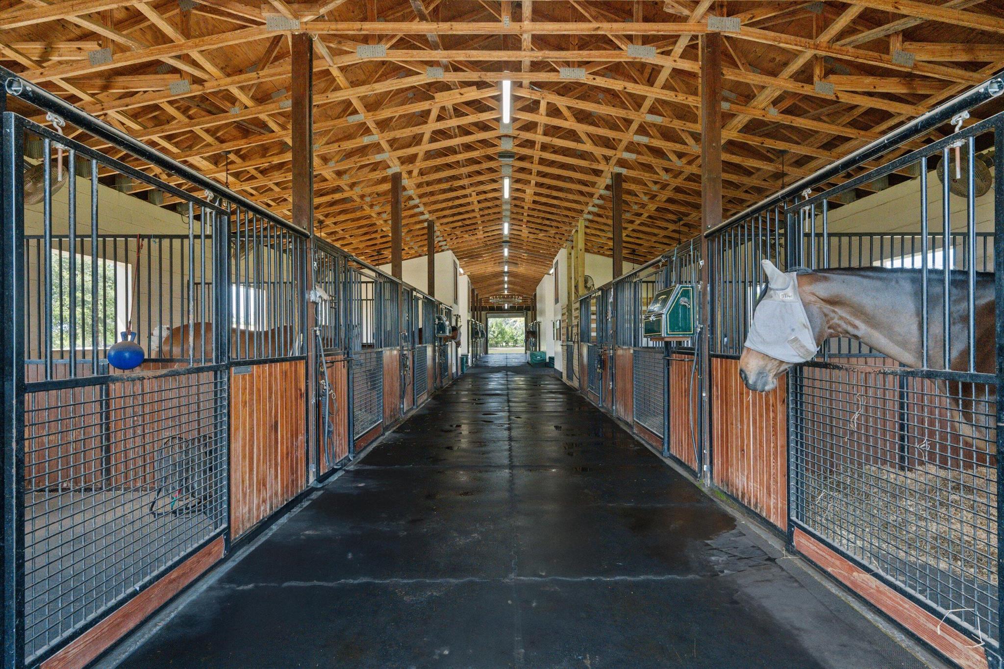 Rustic Ranches - Residential