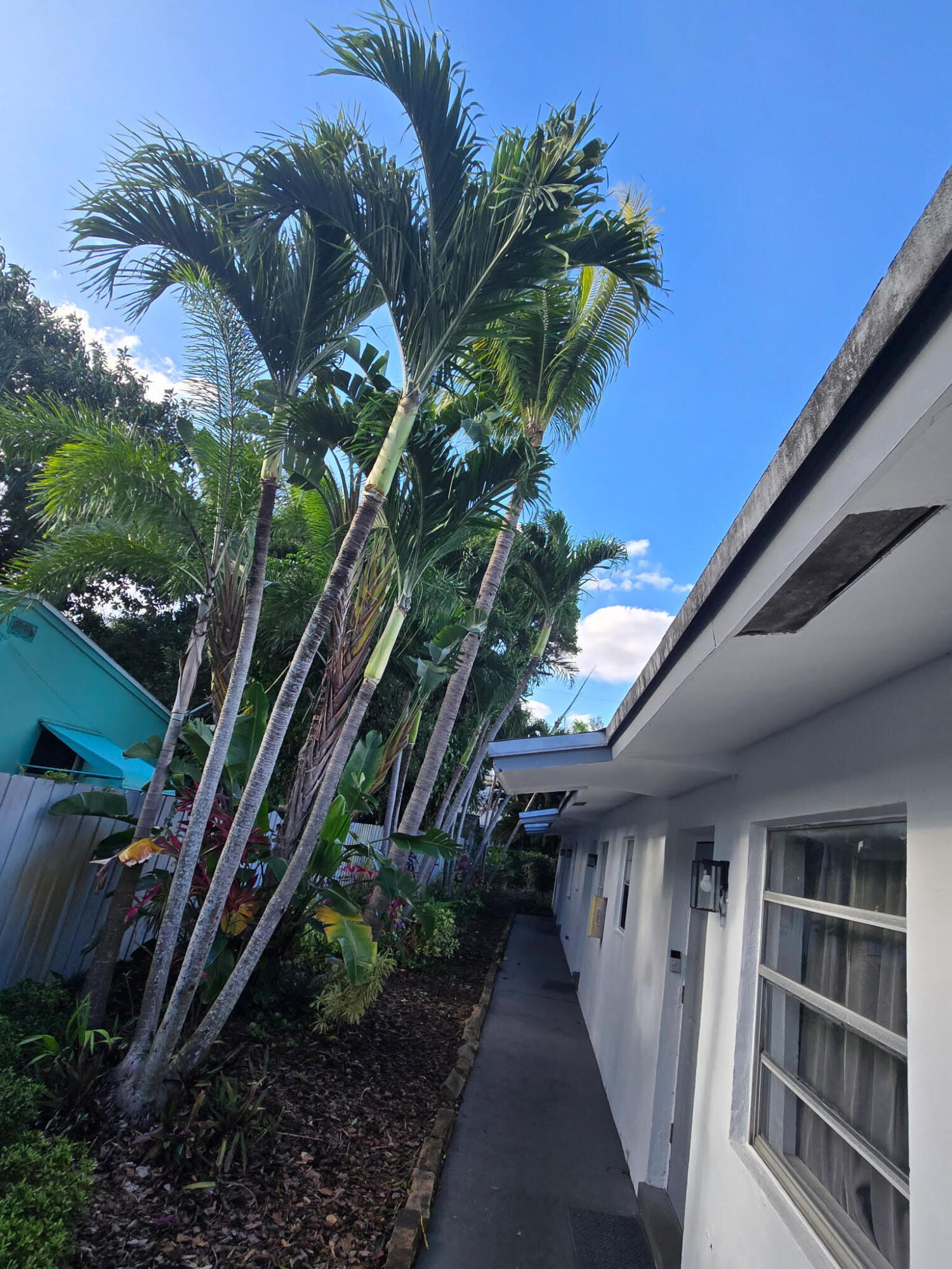 WAVERLY PLACE 2-19 D LOT 5,6 BLK 119 - Residential Income