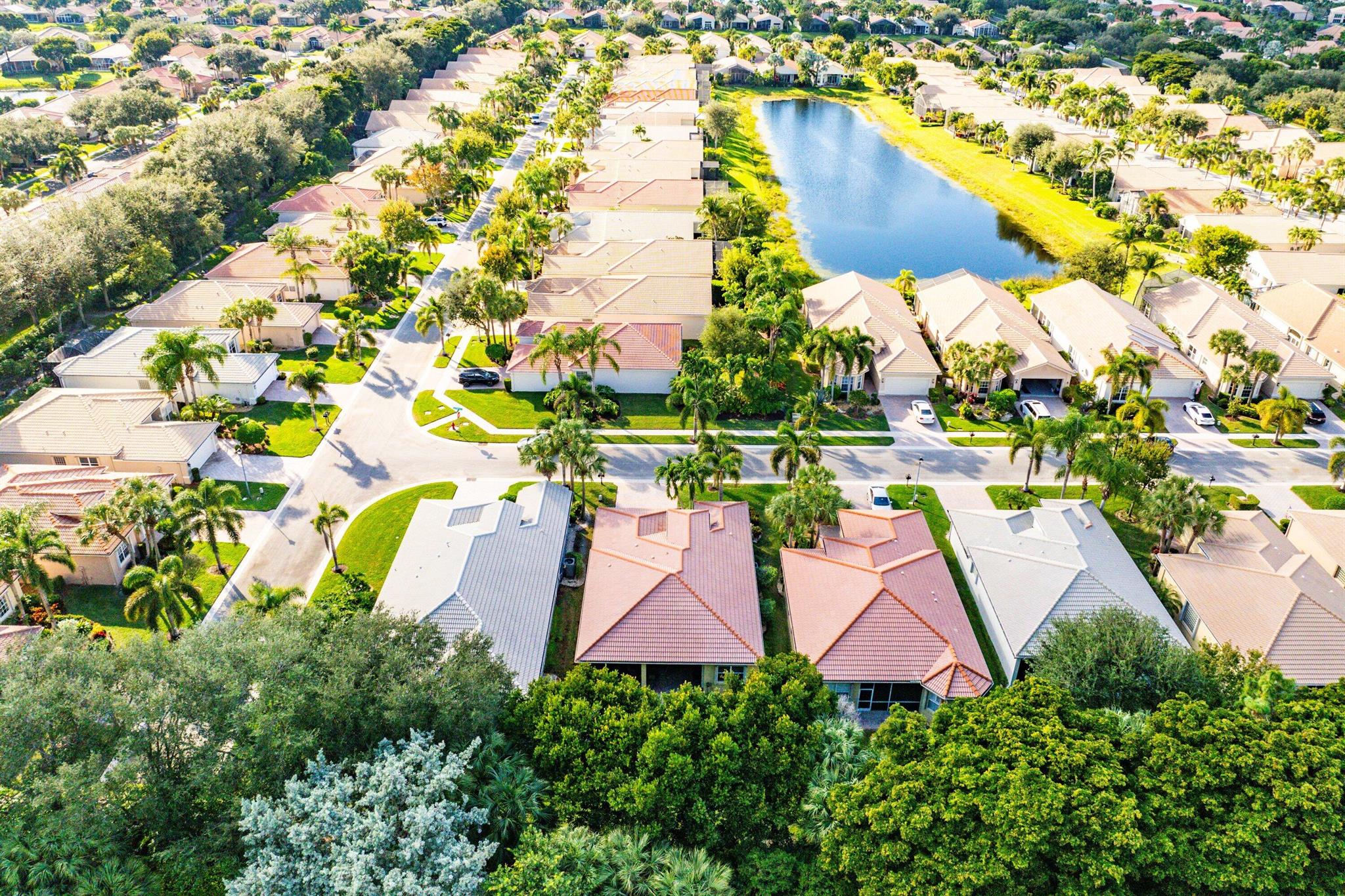 VALENCIA PALMS - Residential