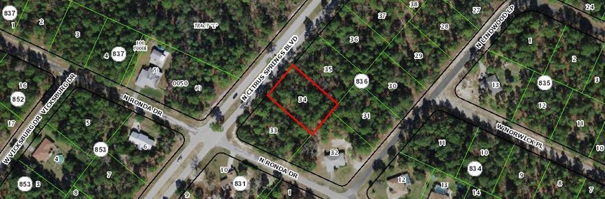 BUILD YOUR CUSTOM HOME ON THIS OVERSIZED LOT.

PLEASE CHECK ACCURACY OF AVAILABLE UTILITIES.